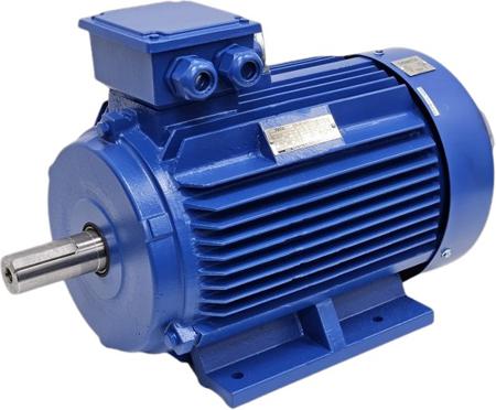 AEEVYY0400407LTL7 TECO Westinghouse AEEVYY Squirrel Cage Motor AC Motor, 30 kW, IE3, 1 Phase, 4 Pole, 400 V, B3 Foot Mounted Mounting