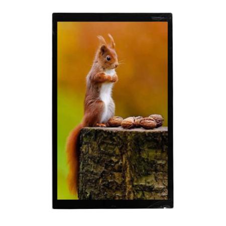 MDT0700AC-USBC Midas  IPS TFT TFT LCD Display / Touch Screen, 7in, 1920 X 1200pixels