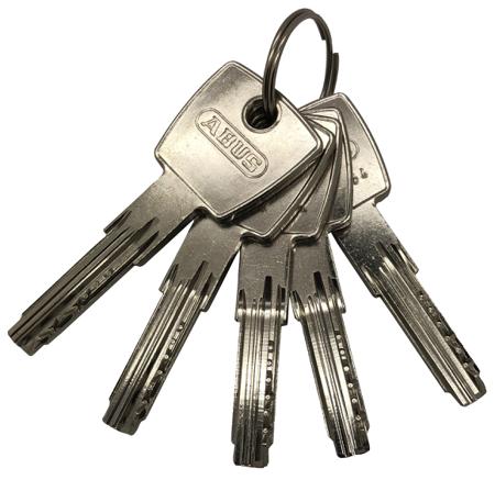 0072597 ABUS Brass Euro Cylinder Lock, 30/30 mm (30/30mm)