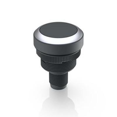 1.10.011.001/0110 RAFI Push Button Switch for Use with Protective Cap