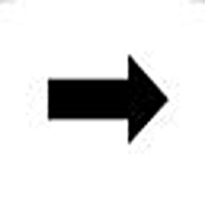 5.70.090.023/1001 RAFI Labels for Use with Pushbutton And Lighting Indicator, Right Arrow