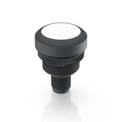 1.10.071.001/0221 RAFI Push Button Bezel for Use with Lamp