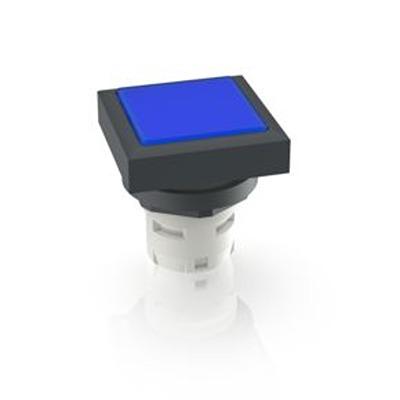 1.30.070.451/0600 RAFI Push Button Bezel for Use with Pushbutton