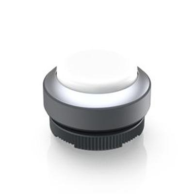 1.30.270.221/2200 RAFI Push Button Bezel for Use with Illuminated Pushbutton