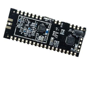 GAMMA62TR-89S RF Solutions, LoRa Module Telemetry Receiver Module -148dBm Receiver Sensitivity