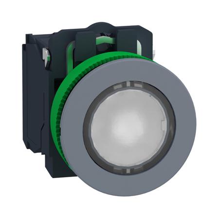XB5FW31B5C0 Schneider Electric
