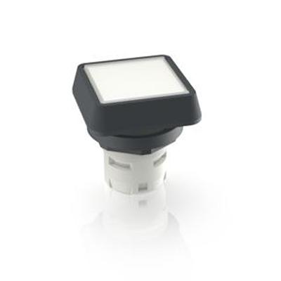 1.65.124.301/1002 RAFI White Push Button LED for Use with Push Buttons