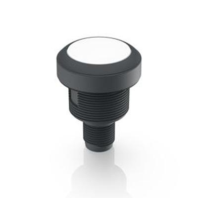1.10.071.201/0221 RAFI Push Button Bezel for Use with Lamp