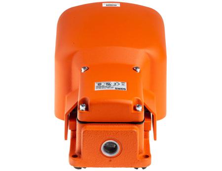 125-3710 Foot Switch, Cast Iron Momentary DPDT 20 A 125 V, 250 V IP65
