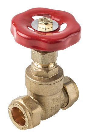 784-5721 RS PRO Gate Valve, 0.59in