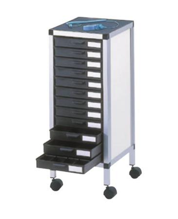 8900050 Licefa 12 Drawer ESD Cabinet