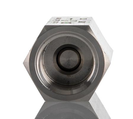 257-0035 RS PRO Stainless Steel Check Valve Check Valve 1/2in, 63 bar