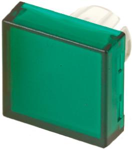 61-9321.5 EAO Modular Switch Lens for Use with 61 Series