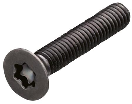 M5X15 Yahata Neji Plain Pan Steel Tamper Proof Security Screw, M5 x 15mm