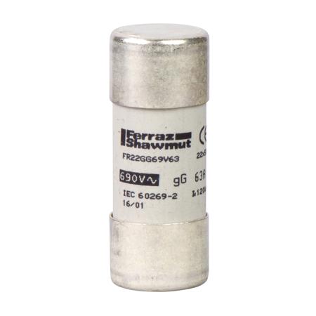 DF2FN10 Schneider Electric 10A Cartridge Fuses, 22.2 x 58mm