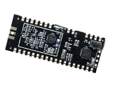GAMMA62M-89S RF Solutions, LoRa Module -148dBm Receiver Sensitivity