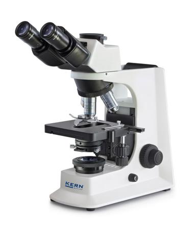 OBL 156 Kern  Microscope, 4 X, 10 X, 40 X, 100 X Magnification