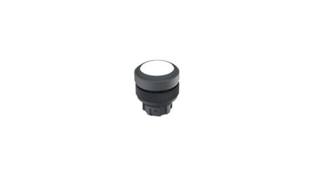 1.30.240.011/1001 RAFI Push Button Switch for Use with RAFIX Switching Element