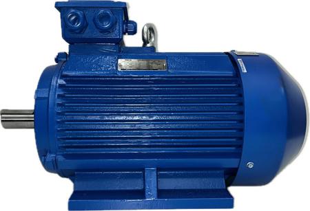 AEEVYY0400307LTL7 TECO Westinghouse AEEVYY Squirrel Cage Motor AC Motor, 22 kW, IE3, 1 Phase, 4 Pole, 400 V, B3 Foot Mounted Mounting