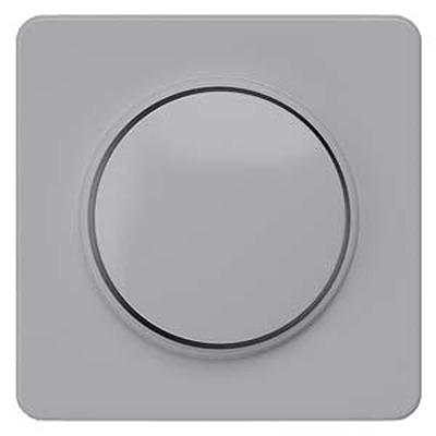 5TC8906 Siemens Silver 1 Gang Cover
