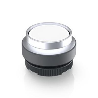 1.30.270.421/2200 RAFI Push Button Bezel for Use with Illuminated Pushbutton