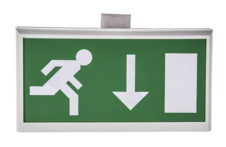 NA8-NM3-L19 RS Pro T5 Fluorescent Emergency Exit Sign, 3h Non Maintained, Down Arrow Graphic, 8 W, Wall Mount, 80 lm