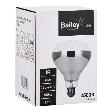 146513 Infra Red R125 250W E27 230V CL Hard GL