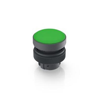 1.74.505.501/1500 RAFI RAFIX 22 QR Series Green Indicator, 22.3mm Mounting Hole Size, Threaded Ring Termination, IP65