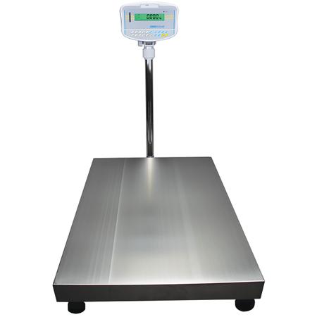 GFK-300 Floor Platform Scales 300kg