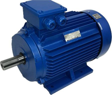 AEEVYY0400257LTL7 TECO Westinghouse AEEVYY Squirrel Cage Motor AC Motor, 18.5 kW, IE3, 1 Phase, 4 Pole, 400 V, B3 Foot Mounted Mounting