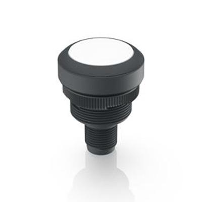 1.10.011.001/0221 RAFI Push Button Switch for Use with Protective Cap