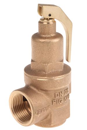 N-542-025-5-BAR Nabic Valve Safety Products Pressure Relief Valve, 1in, 1 in BSP Female 5bar
