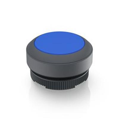 1.30.270.001/2607 RAFI Push Button Bezel for Use with Illuminated Pushbutton