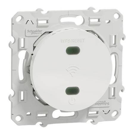 S520465 Screw Terminal White Wall Plate Module, Flush Mount