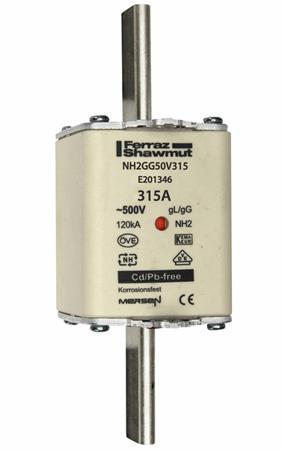 K219820---NH2GG50V315-1 Mersen 315A NH Fuse, NH2, 500V ac