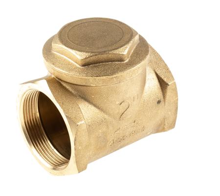 486-182 RS PRO Brass Single Check Valve, BSP 2in, 16 bar