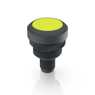 1.10.011.001/0441 RAFI Push Button Switch for Use with Protective Cap