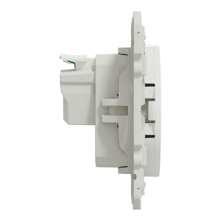 S520059 Schneider Electric White 1 Gang Plug Socket, 2 Poles, 16A, French 2P