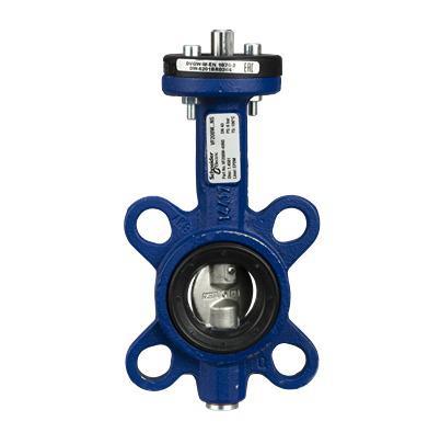 VF208W-40NS Schneider Electric Cast Iron Butterfly Valve , 40mm