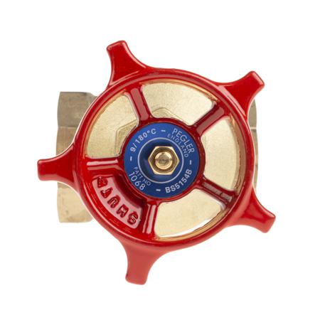 261-0328 RS Pro Gate Valve, 1in