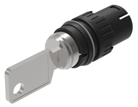 61-2205.0/D EAO IP65 Keylock Switch, 5 A 2-Way Standard-Key