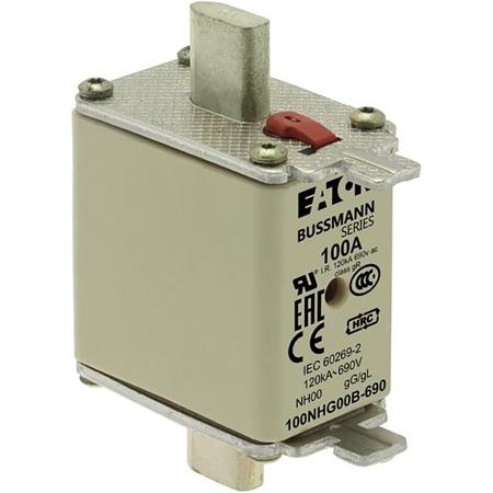 100NHG00B-690 Eaton