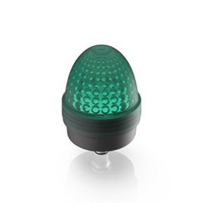 1.69.010.003/1500 RAFI Green Indicator for Use with Signal Lamp