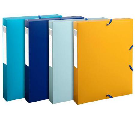 59140E Exacompta Assorted A4 File Box, H330mm x W250mm x D40mm