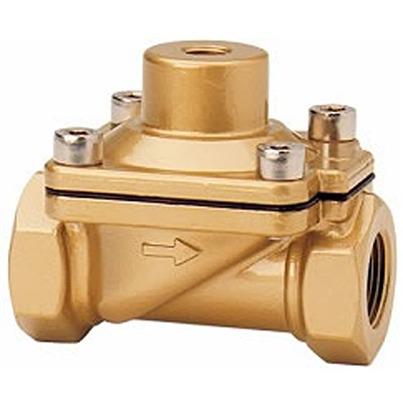 8216200-0000-00000 Buschjost 2/2 Pneumatic Pilot Operated Valves - Pilot G 1/2 82160 Series