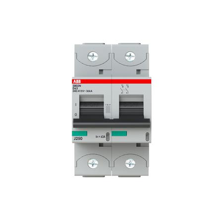2CCS892001R0631--S802N-D63 ABB High Performance 63A MCB Mini Circuit Breaker, 2P Curve D, Breaking Capacity 6 kA