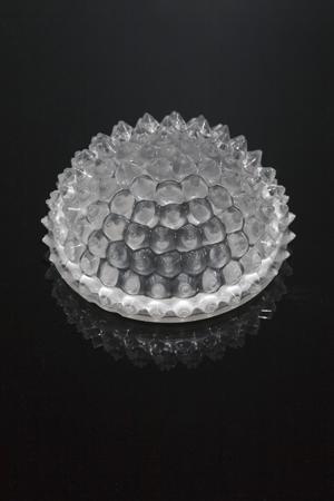 FP15072_ZORYA-SC-C Ledil , ZORYA Series LED Lens, 340 °