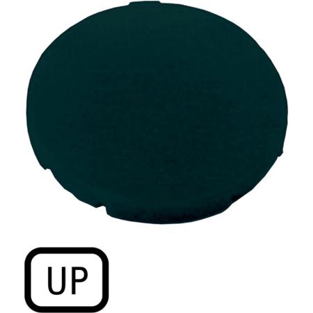 218199 M22-XD-S-GB3 Plate for Use with Push Button
