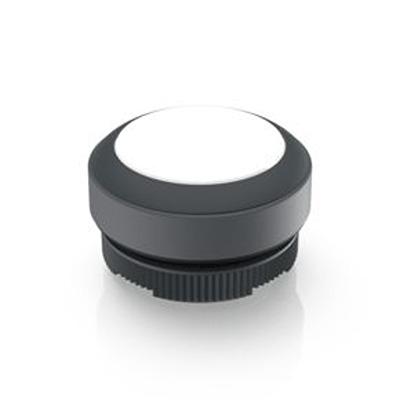 1.30.270.001/2201 RAFI Push Button Switch for Use with RAFIX Switching Element