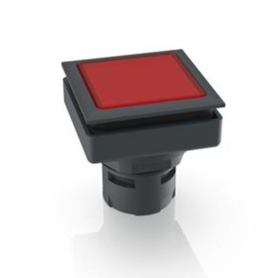 1.30.090.251/0300 RAFI Push Button Bezel for Use with Pushbutton
